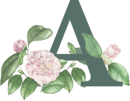 single-image-14 single-image-14